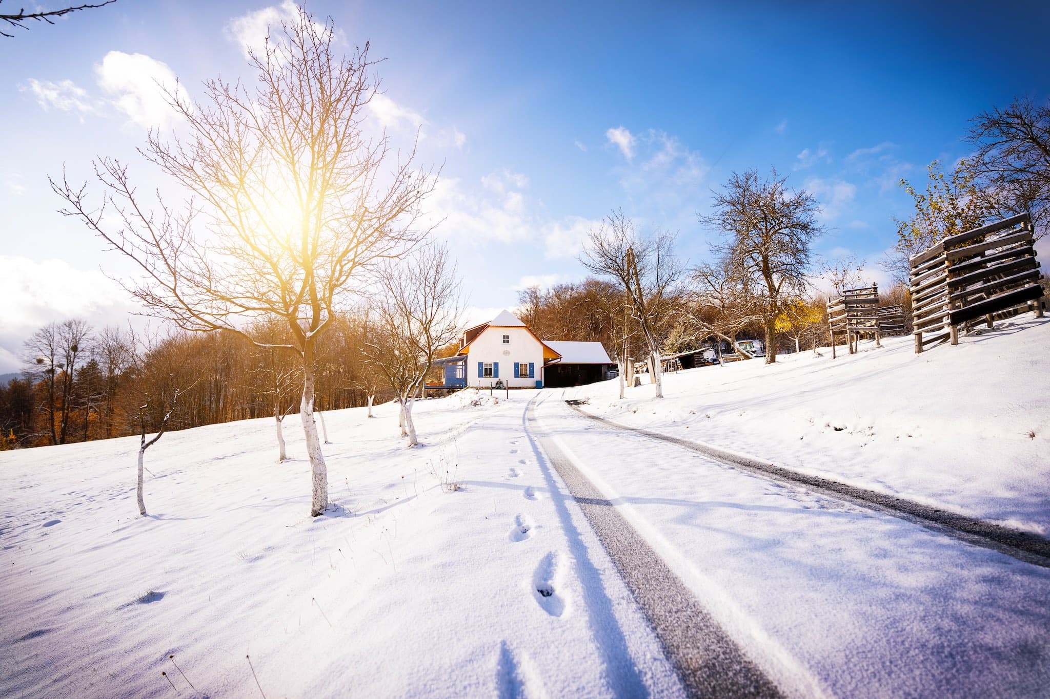 Petrekova.cz header image